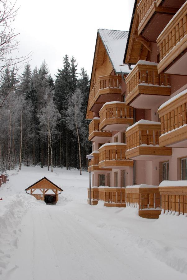 Tla Schreiberhau Apartment Екстериор снимка